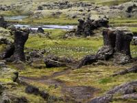 Lavaformationen bei der Storagil Hütte im Skaftátal